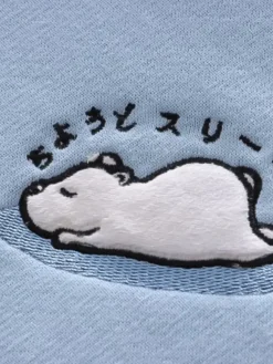 Kawaii Therapy Clothing<Kawaii Japanese Style Bear Pastel Hoodie – Special Edition