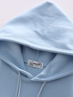 Kawaii Therapy Clothing<Kawaii Japanese Style Bear Pastel Hoodie – Special Edition