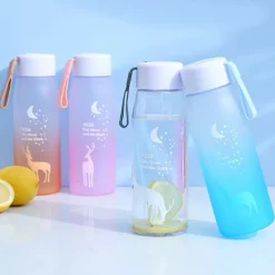 Kawaii Therapy Bottles<Kawaii Reindeer Starry Sky Bottle (500ml)